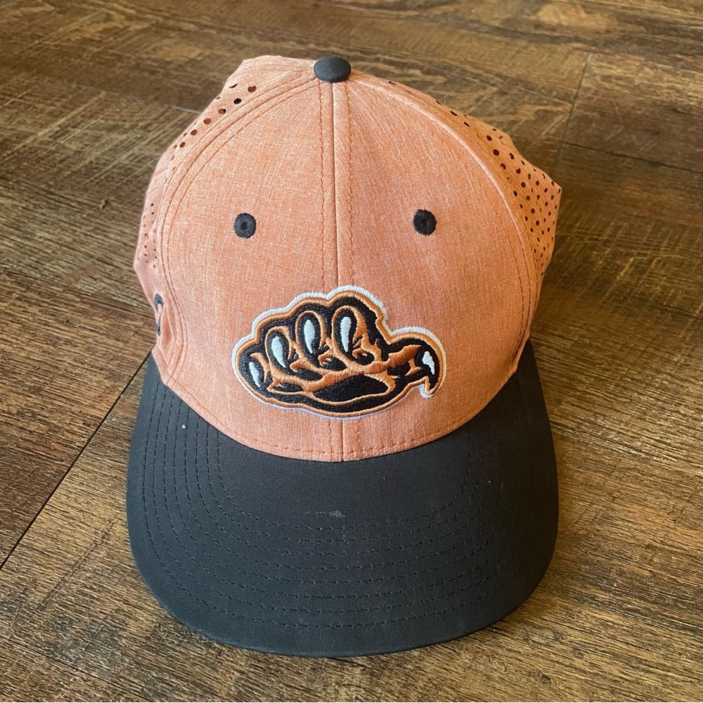 Pukka Ultra Fit/ 6-Panel Traditional/Slight Curve Tritech Bear Claw Snapback Hat